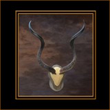 Antler Mount 2