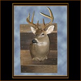 Deer on Barnwood2