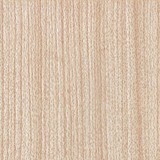 SWG-223 Red Oak