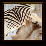 Zebra Hide